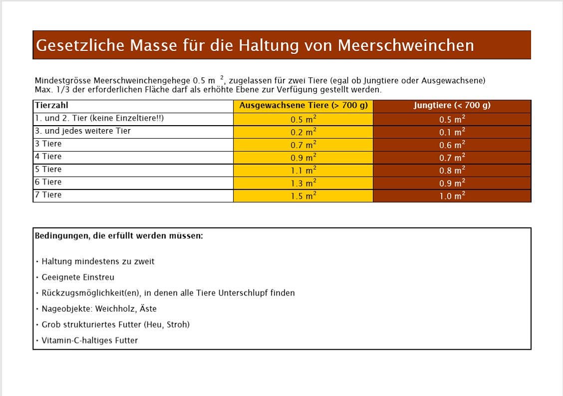 Gesetzliche Mindestmasse zur Haltung von Meerschweinchen