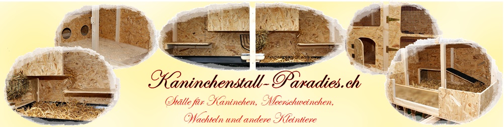 Kaninchenstall Paradies